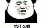 《单身万岁》(姬楚楚演唱)的文本歌词及LRC歌词