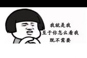 《最心疼我的人就是你》(王禹锡演唱)的文本歌词及LRC歌词