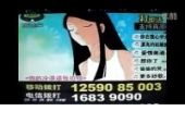 《你的冷漠逼我犯错》(冷漠演唱)的文本歌词及LRC歌词