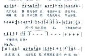 《星星泪》(宋茜演唱)的文本歌词及LRC歌词