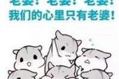 《爱生活爱老婆》(任承浩演唱)的文本歌词及LRC歌词