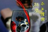 《借我一杯酒》(崔伟立演唱)的文本歌词及LRC歌词