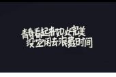 《浪费青春》(张媛媛演唱)的文本歌词及LRC歌词