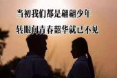 《我的老同学》(申菲演唱)的文本歌词及LRC歌词