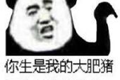 《生是我的人》(童波演唱)的文本歌词及LRC歌词