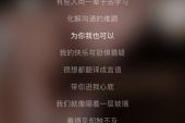 《循环寂寞》(带泪的鱼演唱)的文本歌词及LRC歌词