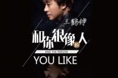 《和你很像的人》(王鹤铮演唱)的文本歌词及LRC歌词