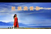 《心爱的草原姑娘》(无悔演唱)的文本歌词及LRC歌词