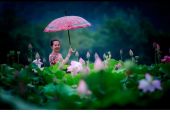 《夏雨听荷》(天籁天演唱)的文本歌词及LRC歌词