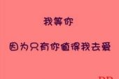 《我爱你我等你》(蒋婴演唱)的文本歌词及LRC歌词