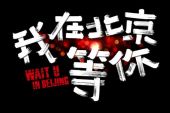 《我在北京你在哪》(龙梅子演唱)的文本歌词及LRC歌词