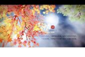 《秋月春花》(夏雪演唱)的文本歌词及LRC歌词