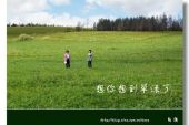 《想你想到草绿了》(格格演唱)的文本歌词及LRC歌词