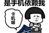 《你是我不变的依赖》(望海高歌演唱)的文本歌词及LRC歌词