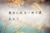《想你已成一种习惯》(玺晨演唱)的文本歌词及LRC歌词