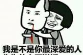 《爱的不是我》(廖浩明演唱)的文本歌词及LRC歌词