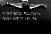《我无法忘记你》(武圣迪演唱)的文本歌词及LRC歌词