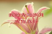 《老婆今生有你真好》(大北农兄弟(吴庆国)演唱)的文本歌词及LRC歌词