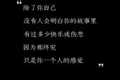 《有谁会明白》(赵丽颖&陈伟霆演唱)的文本歌词及LRC歌词