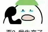 《失恋的我》(龙子鸣演唱)的文本歌词及LRC歌词