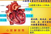 《心的构造》(曾咏欣演唱)的文本歌词及LRC歌词