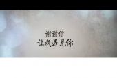 《谢谢你让我遇见你》(寂悸演唱)的文本歌词及LRC歌词