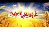 《在希望的田野上》(雷佳演唱)的文本歌词及LRC歌词