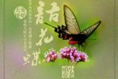《语花蝶》(安东阳&樊桐舟演唱)的文本歌词及LRC歌词