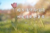 《爱最重要》(魏晓雪&甘泉演唱)的文本歌词及LRC歌词