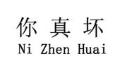《你真坏》(陈雅森演唱)的文本歌词及LRC歌词