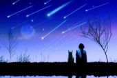 《流星心愿》(张渼壹演唱)的文本歌词及LRC歌词