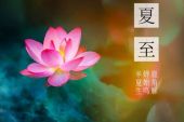 《花开不等待》(斯兰演唱)的文本歌词及LRC歌词