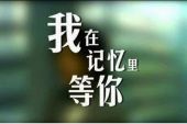 《我已等你好多年》(陈宛如演唱)的文本歌词及LRC歌词