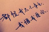 《我恨我爱你》(闫凤梅演唱)的文本歌词及LRC歌词