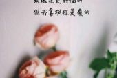 《我是你的玫瑰》(张可儿演唱)的文本歌词及LRC歌词