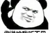 《你说，我说》(莫心藤&心大俊演唱)的文本歌词及LRC歌词