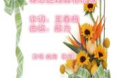 《难忘这段真情的缘》(枫舞演唱)的文本歌词及LRC歌词