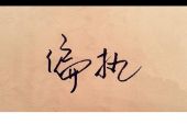 《如你所见》(田佳禾演唱)的文本歌词及LRC歌词