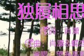 《独履相思畔》(望海高歌演唱)的文本歌词及LRC歌词