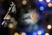 《痛爱》(云菲菲演唱)的文本歌词及LRC歌词