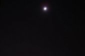 《在有星星的夜晚想你》(少女队演唱)的文本歌词及LRC歌词