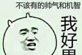 《我不想老去》(高信演唱)的文本歌词及LRC歌词