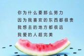 《爱什么东西》(华东兄弟演唱)的文本歌词及LRC歌词