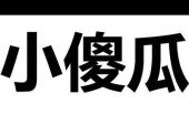 《小傻瓜》(江潮演唱)的文本歌词及LRC歌词