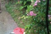 《落花雨》(蒋蒋演唱)的文本歌词及LRC歌词