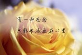 《有一种思念叫永远》(倪尔萍演唱)的文本歌词及LRC歌词