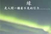 《生命的每一次遇合》(凤飞飞演唱)的文本歌词及LRC歌词