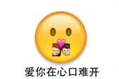 《爱你在心口难开》(凤飞飞演唱)的文本歌词及LRC歌词