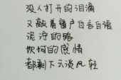 《微甜的回忆》(杨子姗演唱)的文本歌词及LRC歌词