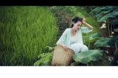 《恋香》(郁可唯演唱)的文本歌词及LRC歌词